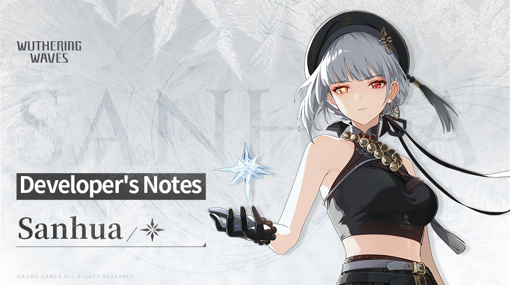 Developer's Notes - Sanhua
