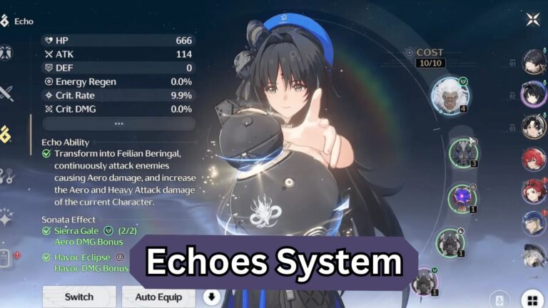 Wuthering Waves Echo System Guide
